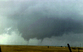 Multiple Vortex Supercell Tornado Near Chico, CAm Sept 26, 1986